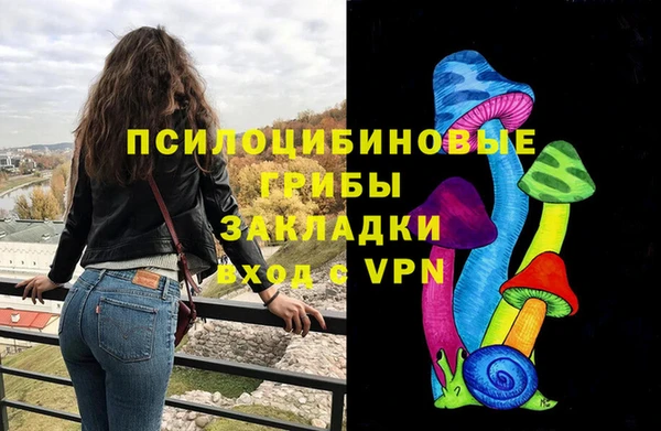 гидра Бородино