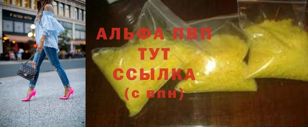 гидра Бородино