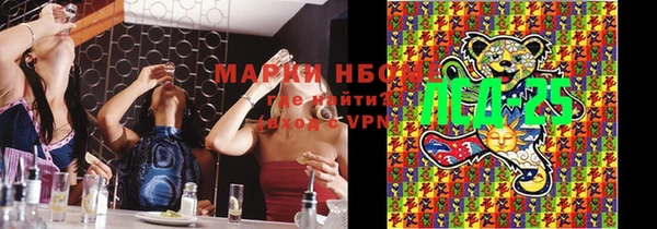 твердый Кулебаки