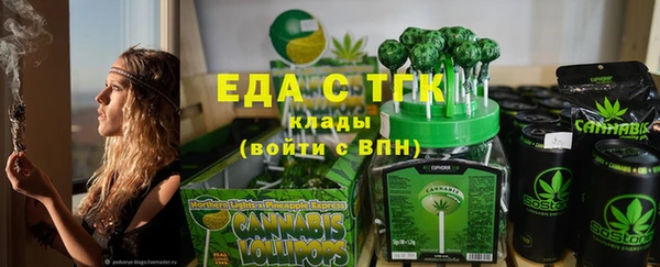 гидра Бородино