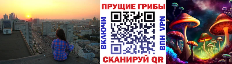 как найти наркотики  Мончегорск  Галлюциногенные грибы GOLDEN TEACHER 