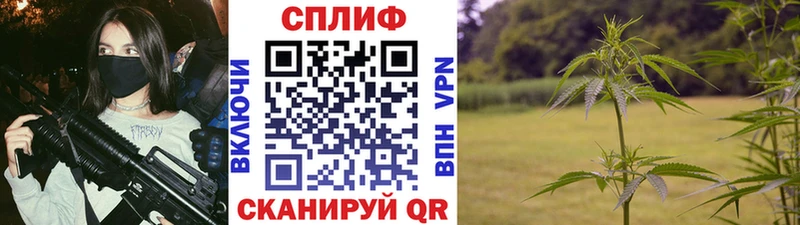 Марихуана планчик  Мончегорск 