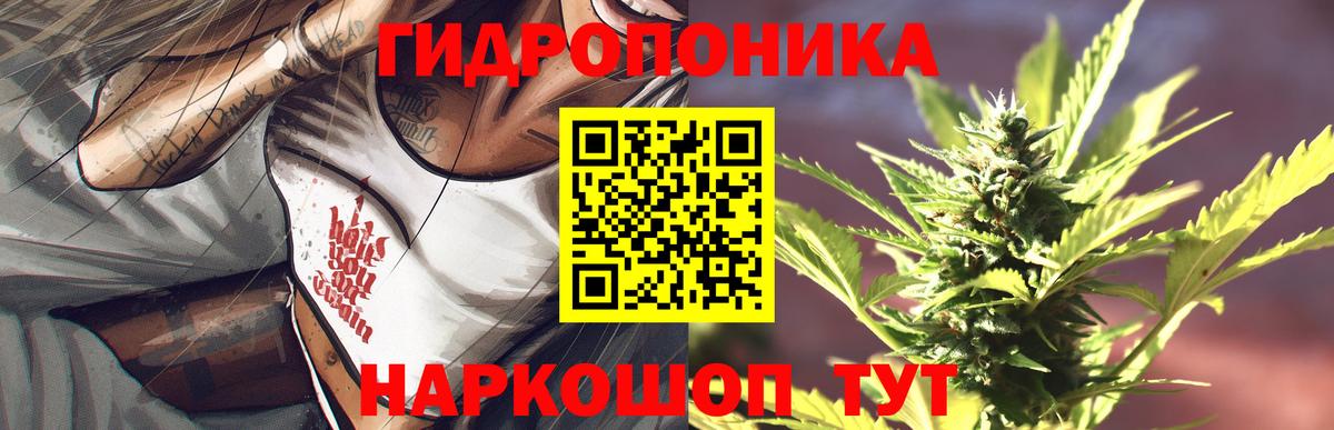 Бошки марихуана гибрид Мончегорск